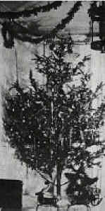 The first electrically lit Christmas tree, December, 1882.