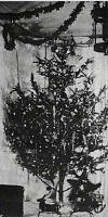 The first reported electrically lit Christmas tree, December 1882.