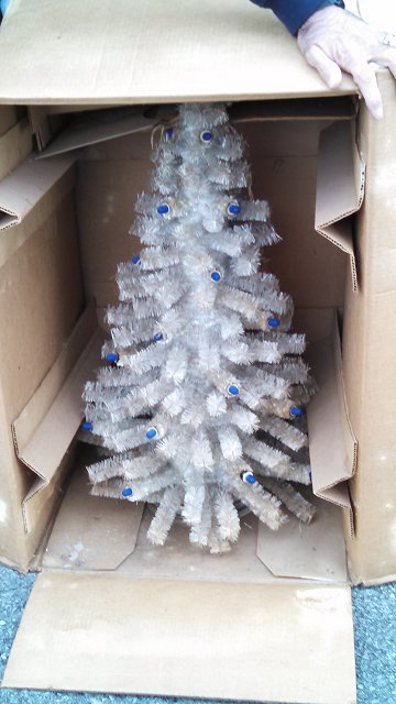 white tree in box 2.jpg