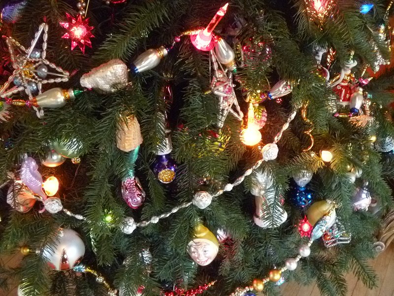 vic_bovees_tree_closeup.JPG